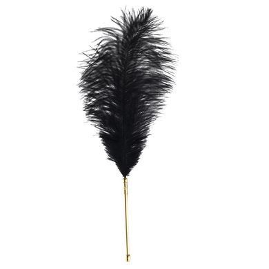 Лоскітка LOCKINK SEVANDA Natural Peacock Flirting Feather Tickler, пір&rsquo;я павича та страуса