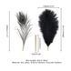 Лоскітка LOCKINK SEVANDA Natural Peacock Flirting Feather Tickler, пір&rsquo;я павича та страуса