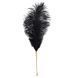 Лоскітка LOCKINK SEVANDA Natural Peacock Flirting Feather Tickler, пір&rsquo;я павича та страуса