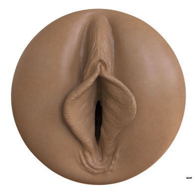 Мастурбатор-вагина Fleshlight Boost Bang Medium Dark Flesh, плавающие кольца Turbo Tech